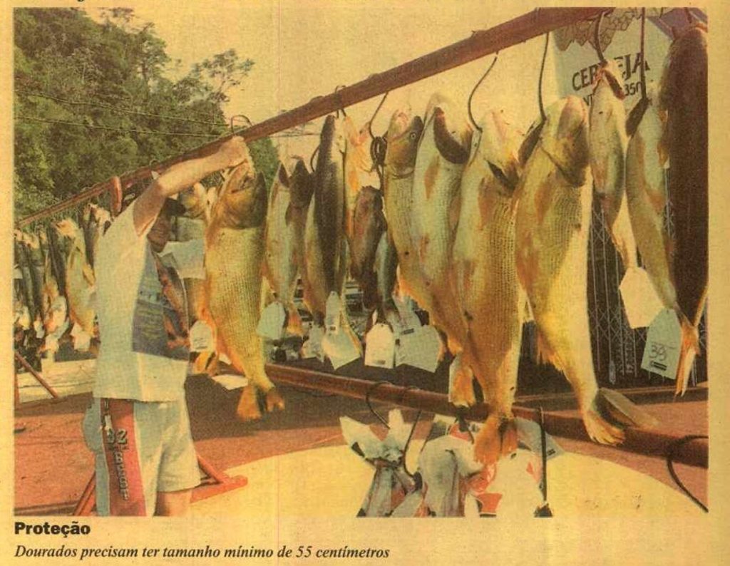 Pesca ao Dourado